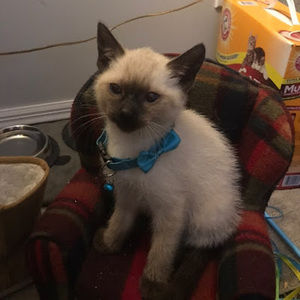 Meet your Posher, Miah